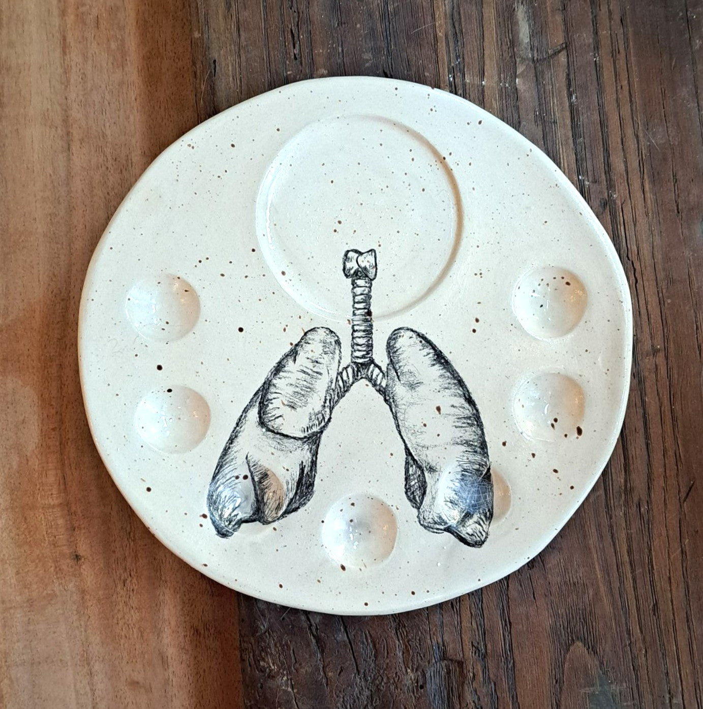 פלטה לצבעים - ריאות