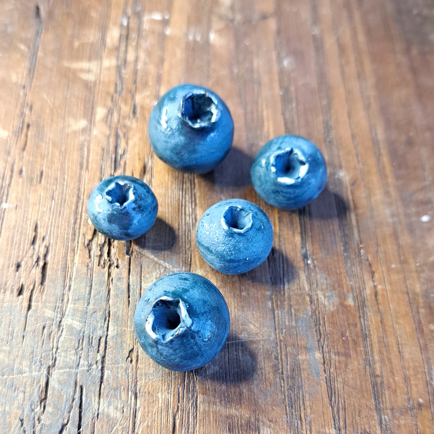 מגנט אוכמניות