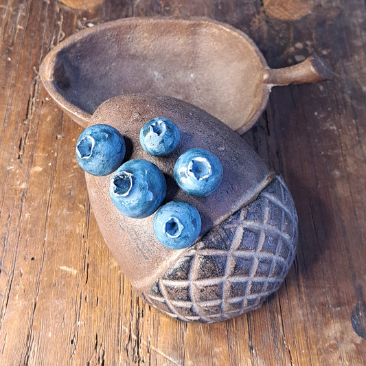 מגנט אוכמניות