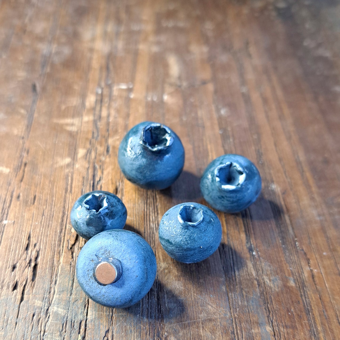 מגנט אוכמניות